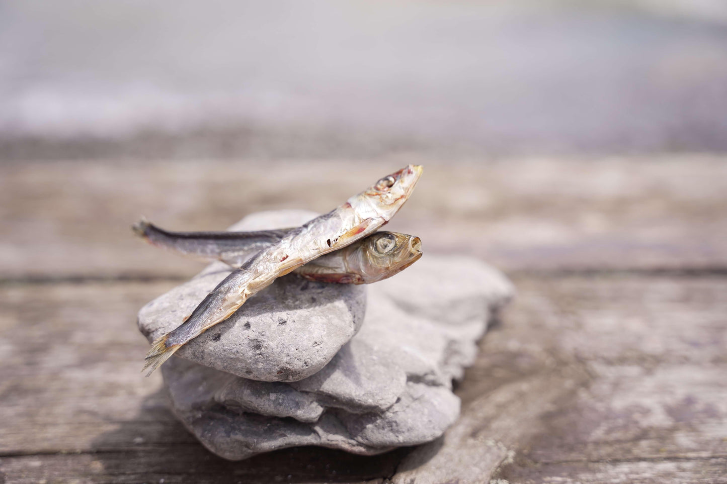 Dried Capelin hi nature pet