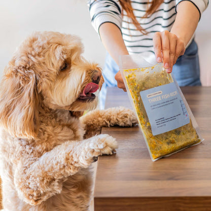 Three Fish Feast | Skin & Coat - Fresh Cooked Dog Food