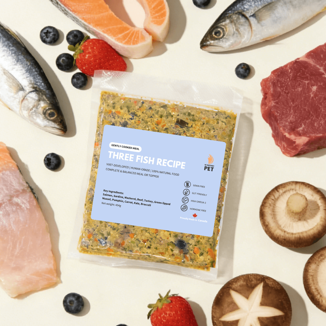 Three Fish Feast | Skin & Coat - Fresh Cooked Dog Food