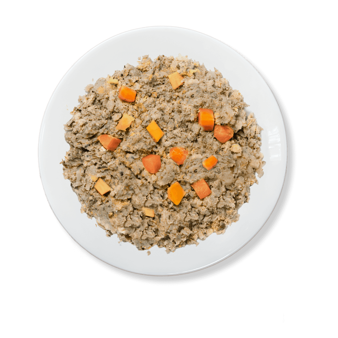 Chicken & Beef | Senior Care - Fresh Cooked Dog Food