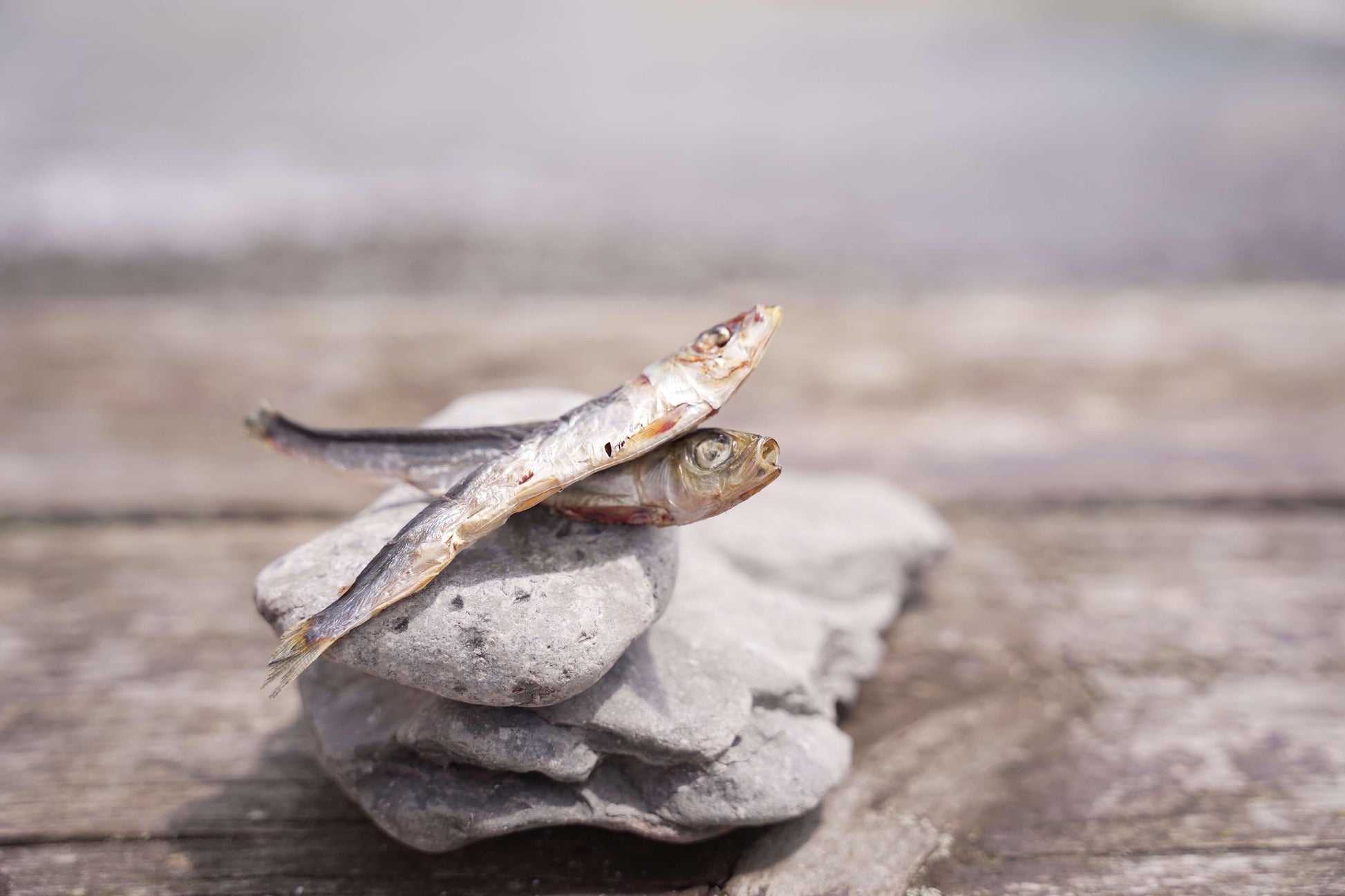 Dried Capelin hi nature pet